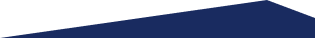 team-details-shape-1-1